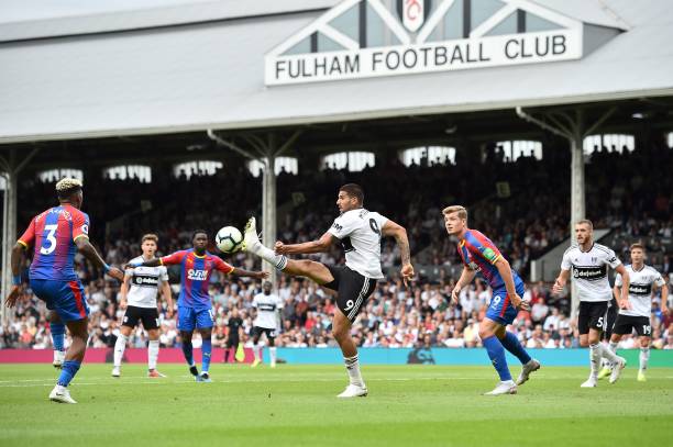 文的深入分 文的深入分