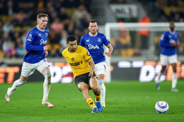 球迷们都感 球迷们都感