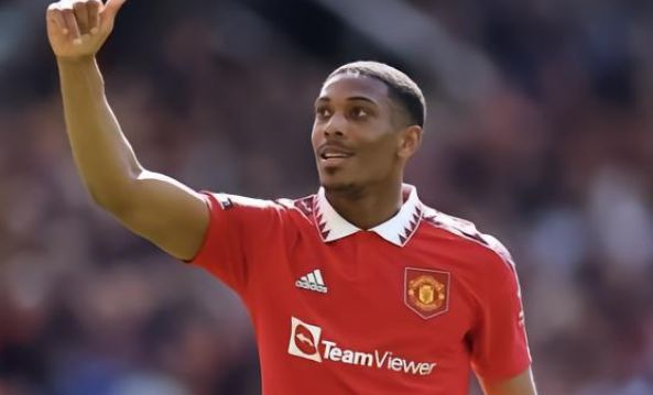 式引进博埃 式引进博埃